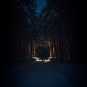 Preview wallpaper silhouette, forest, road, snow, trees