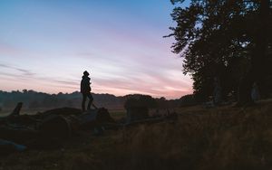 Preview wallpaper silhouette, forest, solitude, fog