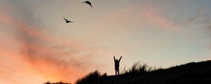 Preview wallpaper silhouette, freedom, month, sunset