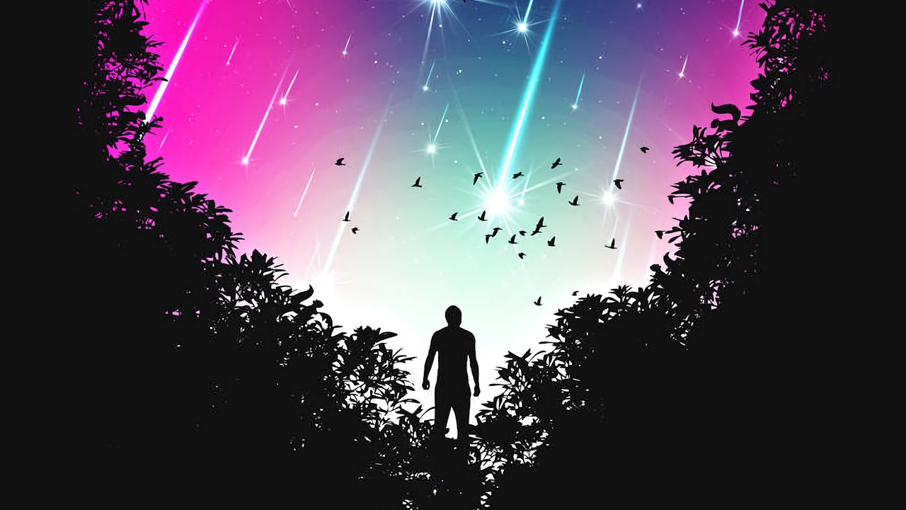 Wallpaper silhouette, heart, birds, stars