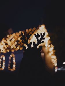 Preview wallpaper silhouette, horns, dark, house, lights, bokeh