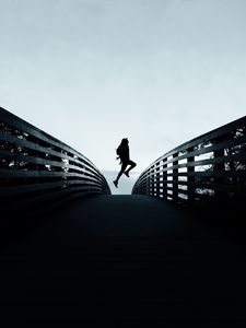 Preview wallpaper silhouette, jump, dark, railing, fence