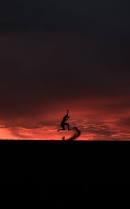 Preview wallpaper silhouette, jump, sunset, night