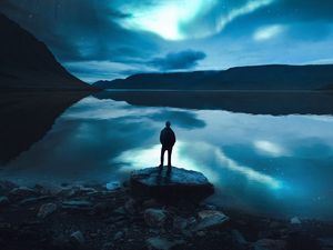 Preview wallpaper silhouette, lake, night, loneliness, moon, moonlight