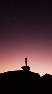 Preview wallpaper silhouette, lonely, loneliness, starry sky