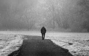 Preview wallpaper silhouette, lonely, snowfall, fog, winter, snow
