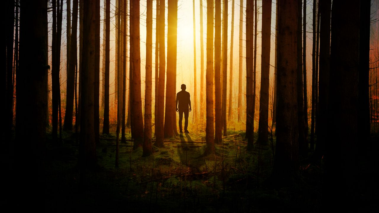 Wallpaper silhouette, man, forest, trees