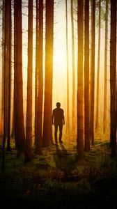 Preview wallpaper silhouette, man, forest, trees