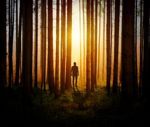 Preview wallpaper silhouette, man, forest, trees