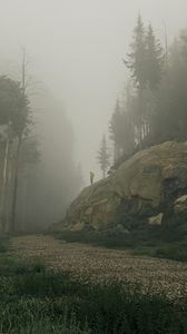 Preview wallpaper silhouette, mountain, slope, trees, fog, art