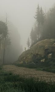 Preview wallpaper silhouette, mountain, slope, trees, fog, art