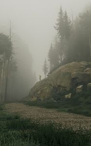 Preview wallpaper silhouette, mountain, slope, trees, fog, art