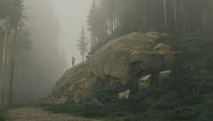 Preview wallpaper silhouette, mountain, slope, trees, fog, art