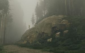Preview wallpaper silhouette, mountain, slope, trees, fog, art