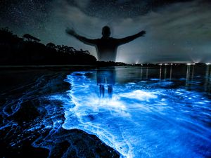 Preview wallpaper silhouette, night, water, luminescence, glow