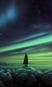 Preview wallpaper silhouette, northern lights, shore, stones, art