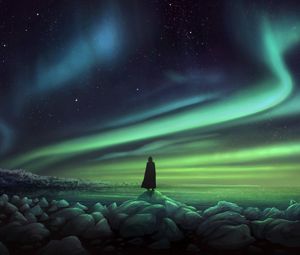 Preview wallpaper silhouette, northern lights, shore, stones, art