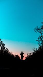 Preview wallpaper silhouette, outlines, dark, twilight, bushes, trail