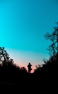 Preview wallpaper silhouette, outlines, dark, twilight, bushes, trail