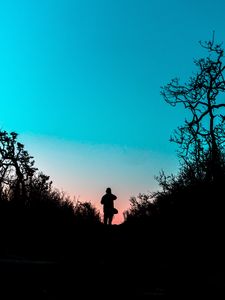 Preview wallpaper silhouette, outlines, dark, twilight, bushes, trail