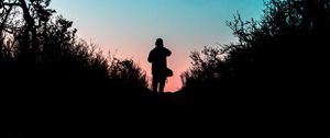 Preview wallpaper silhouette, outlines, dark, twilight, bushes, trail