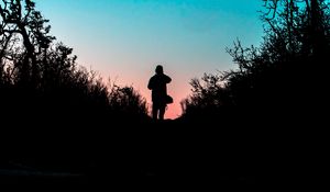 Preview wallpaper silhouette, outlines, dark, twilight, bushes, trail