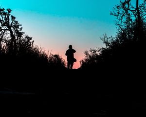 Preview wallpaper silhouette, outlines, dark, twilight, bushes, trail