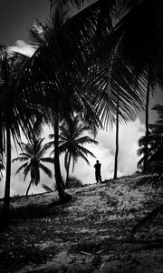 Preview wallpaper silhouette, palm trees, slope, dark