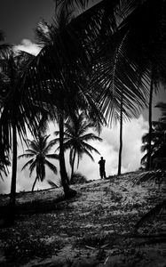 Preview wallpaper silhouette, palm trees, slope, dark