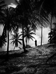 Preview wallpaper silhouette, palm trees, slope, dark