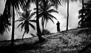 Preview wallpaper silhouette, palm trees, slope, dark