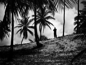 Preview wallpaper silhouette, palm trees, slope, dark