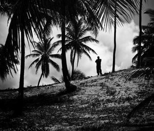 Preview wallpaper silhouette, palm trees, slope, dark