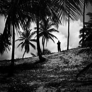 Preview wallpaper silhouette, palm trees, slope, dark