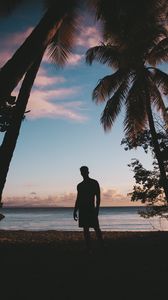 Preview wallpaper silhouette, palm trees, sunset, dusk, tropics, sea