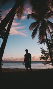 Preview wallpaper silhouette, palm trees, sunset, dusk, tropics, sea