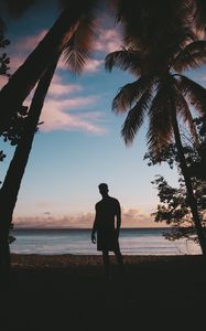 Preview wallpaper silhouette, palm trees, sunset, dusk, tropics, sea