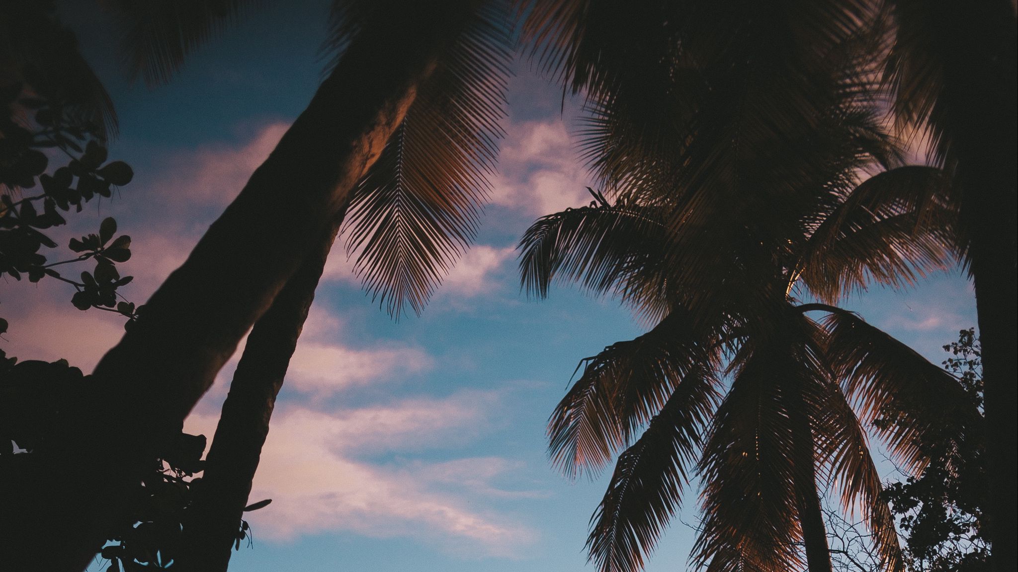 Download wallpaper 2048x1152 silhouette, palm trees, sunset, dusk