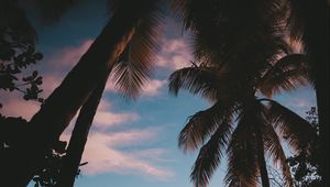 Preview wallpaper silhouette, palm trees, sunset, dusk, tropics, sea