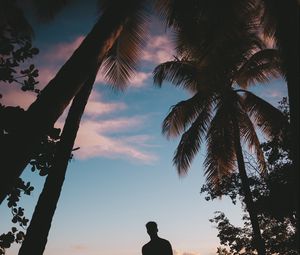 Preview wallpaper silhouette, palm trees, sunset, dusk, tropics, sea