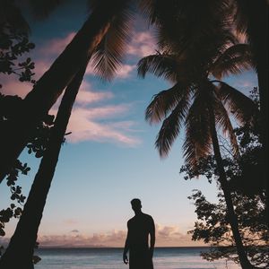 Preview wallpaper silhouette, palm trees, sunset, dusk, tropics, sea