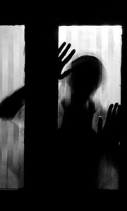 Preview wallpaper silhouette, palms, glass, bw