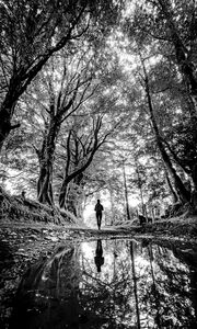 Preview wallpaper silhouette, path, trees, water, reflection, black and white