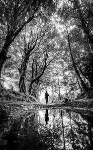 Preview wallpaper silhouette, path, trees, water, reflection, black and white