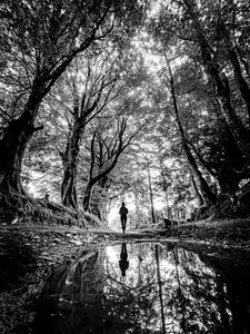 Preview wallpaper silhouette, path, trees, water, reflection, black and white