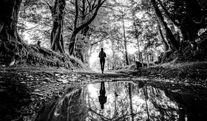 Preview wallpaper silhouette, path, trees, water, reflection, black and white