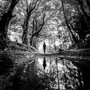 Preview wallpaper silhouette, path, trees, water, reflection, black and white