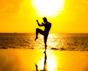 Preview wallpaper silhouette, pose, blow, coast, sea, sunset