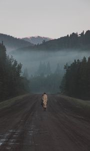 Preview wallpaper silhouette, road, mountains, fog, forest