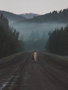 Preview wallpaper silhouette, road, mountains, fog, forest